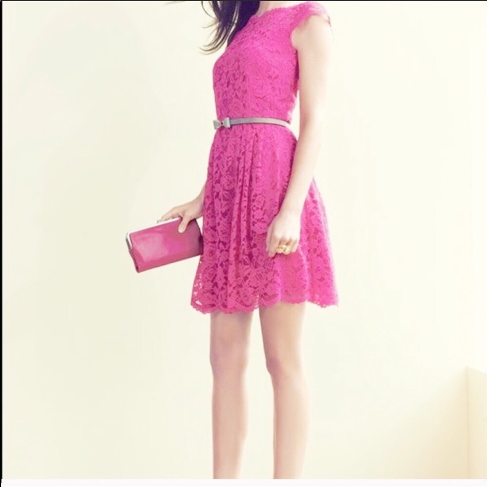 Cynthia Steffe Pink Lace Dress Size 2